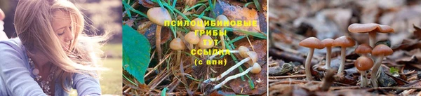 a pvp Армянск