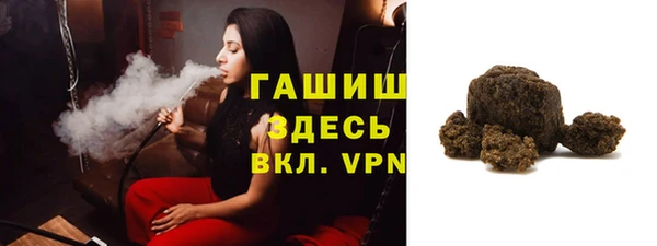 шишки Магас
